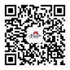 自動(dòng)雙量程 分析天平PTY系列